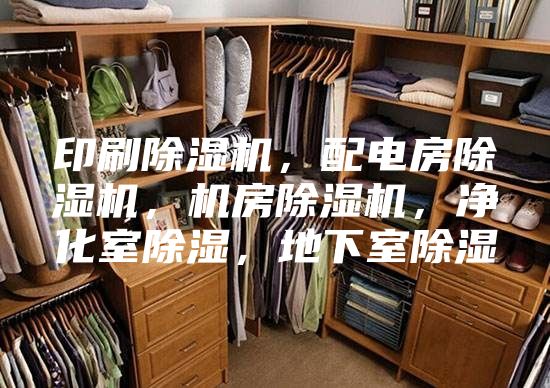 印刷除濕機，配電房除濕機，機房除濕機，凈化室除濕，地下室除濕