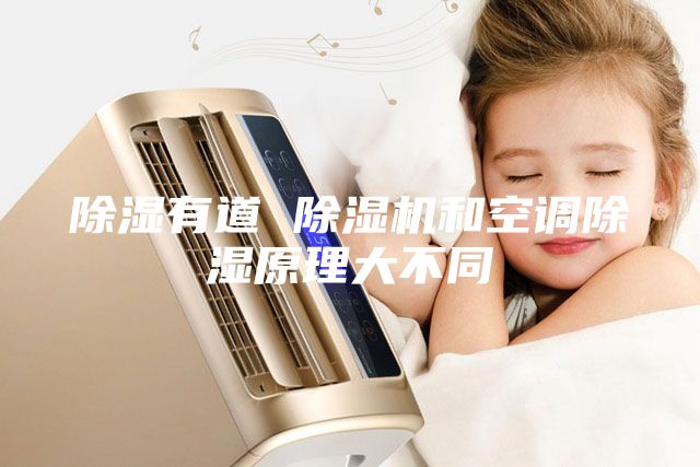 除濕有道 除濕機和空調(diào)除濕原理大不同