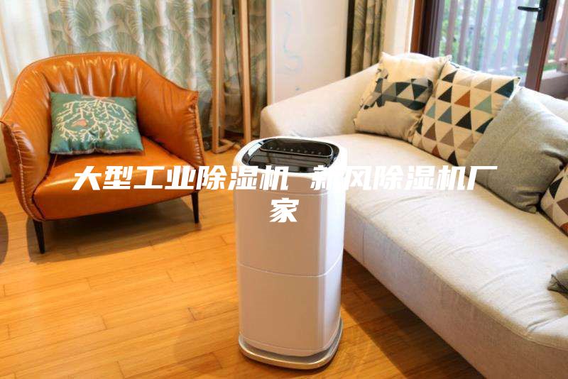 大型工業(yè)除濕機 新風(fēng)除濕機廠家