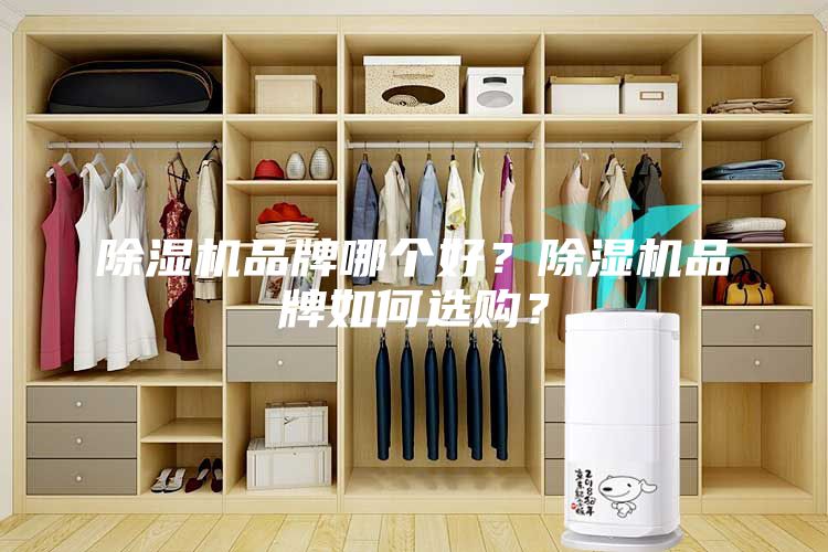 除濕機品牌哪個好？除濕機品牌如何選購？