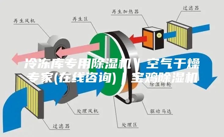 冷凍庫(kù)專用除濕機(jī)｜空氣干燥專家(在線咨詢)｜寶雞除濕機(jī)