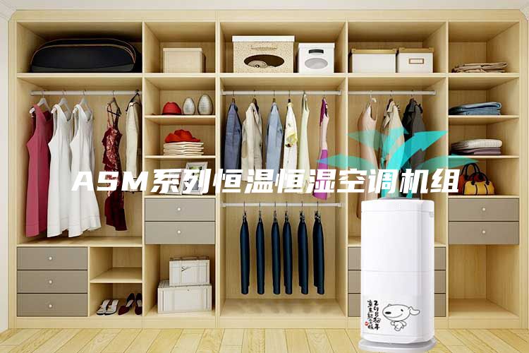 ASM系列恒溫恒濕空調(diào)機(jī)組