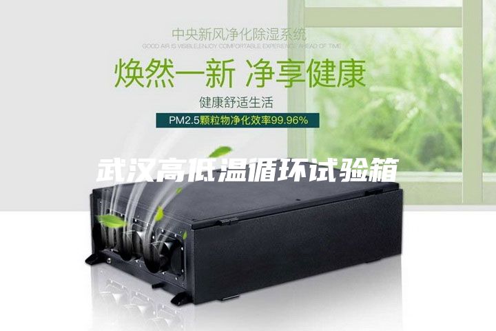 武漢高低溫循環(huán)試驗箱