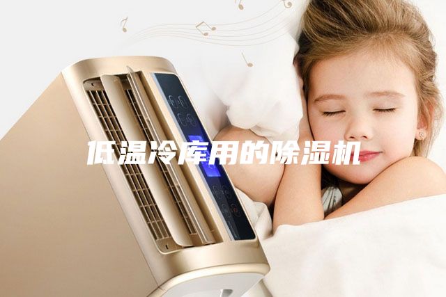 低溫冷庫(kù)用的除濕機(jī)