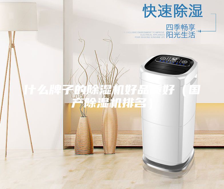 什么牌子的除濕機(jī)好品質(zhì)好（國(guó)產(chǎn)除濕機(jī)排名）
