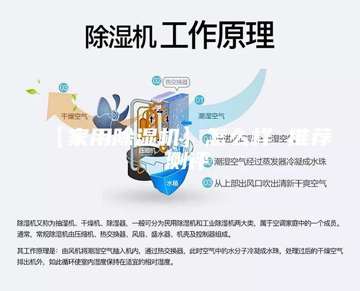 【家用除濕機(jī)】怎么樣 推薦 測評