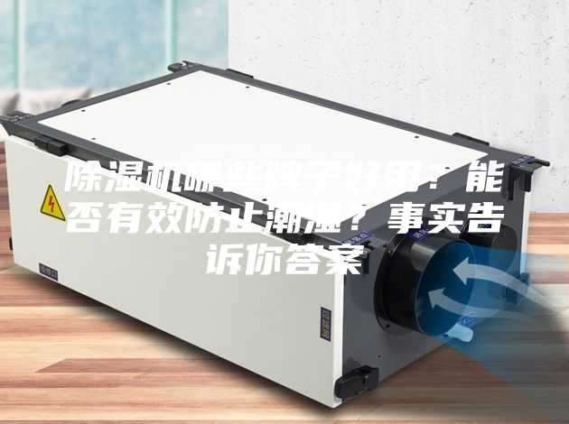 除濕機(jī)哪些牌子好用？能否有效防止潮濕？事實(shí)告訴你答案