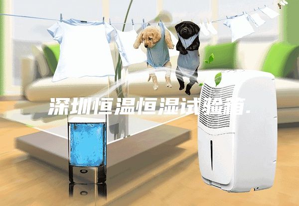 深圳恒溫恒濕試驗(yàn)箱.