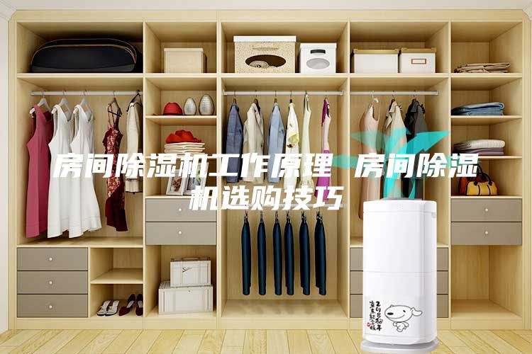 房間除濕機工作原理 房間除濕機選購技巧