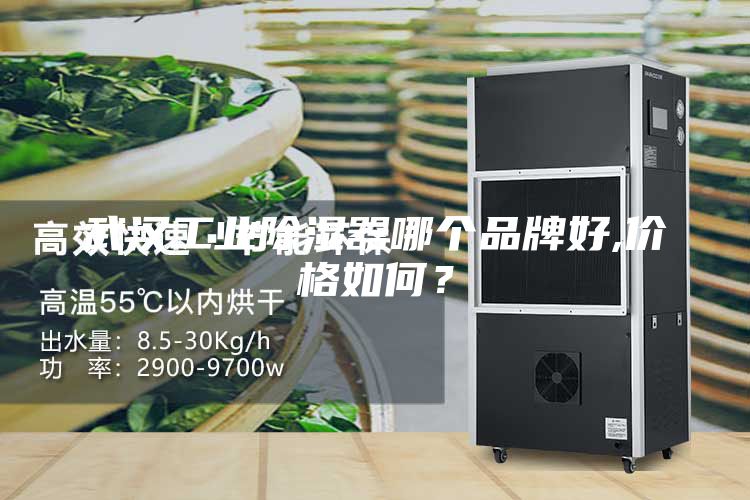 武漢工業(yè)除濕器哪個(gè)品牌好,價(jià)格如何？