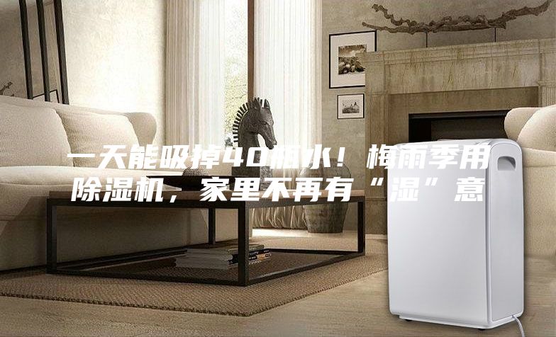 一天能吸掉40瓶水！梅雨季用除濕機(jī)，家里不再有“濕”意