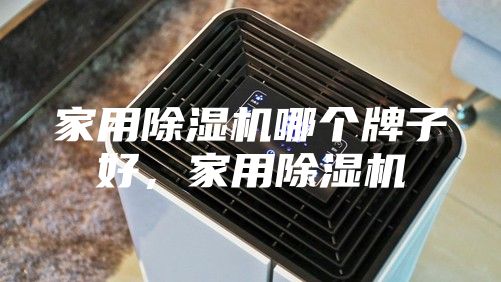 家用除濕機(jī)哪個牌子好，家用除濕機(jī)