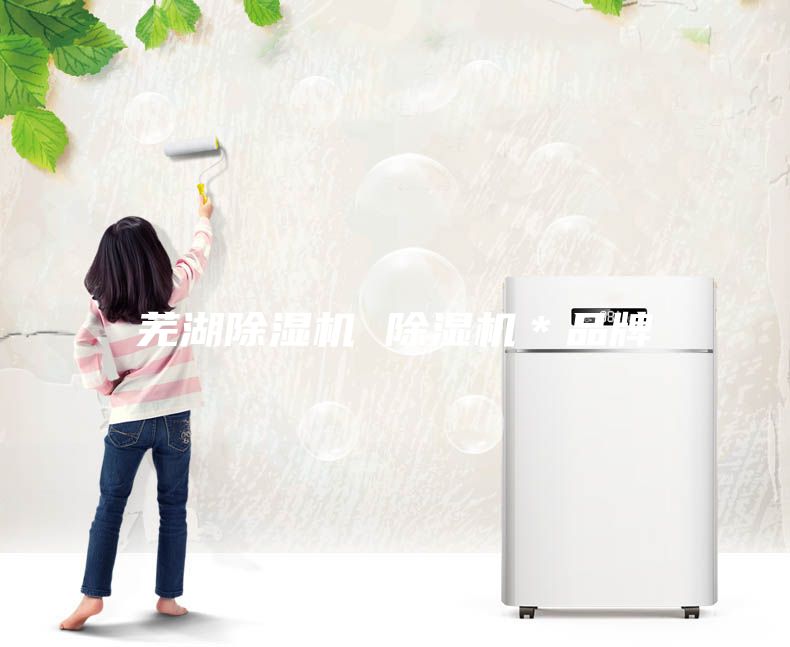 蕪湖除濕機(jī) 除濕機(jī)＊品牌