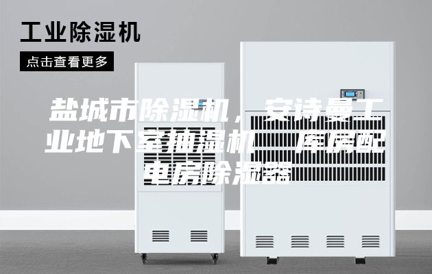 鹽城市除濕機(jī)，安詩曼工業(yè)地下室抽濕機(jī)  庫房配電房除濕器