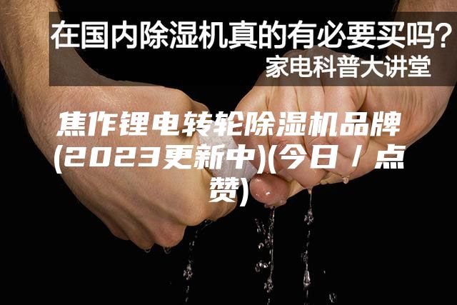 焦作鋰電轉(zhuǎn)輪除濕機(jī)品牌(2023更新中)(今日／點(diǎn)贊)