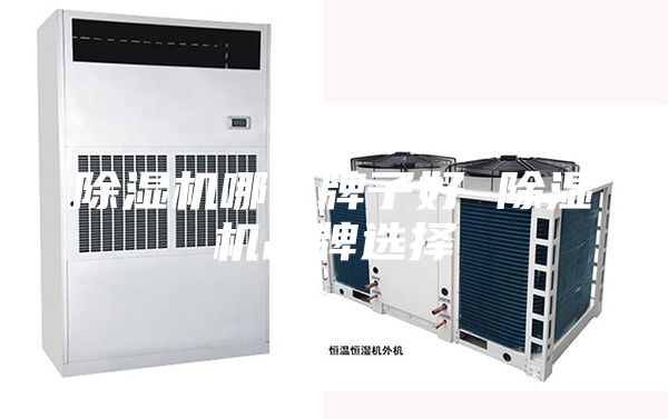 除濕機(jī)哪個牌子好 除濕機(jī)品牌選擇