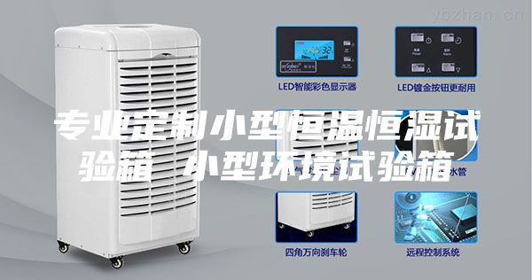 專業(yè)定制小型恒溫恒濕試驗箱 小型環(huán)境試驗箱