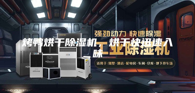 烤鴨烘干除濕機(jī)，烘干快迅速入味