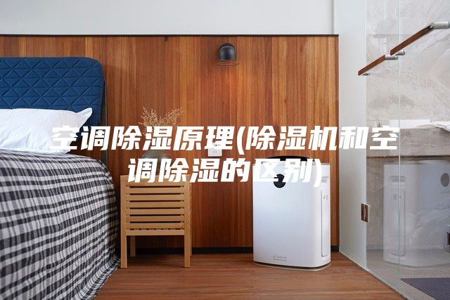 空調(diào)除濕原理(除濕機(jī)和空調(diào)除濕的區(qū)別)