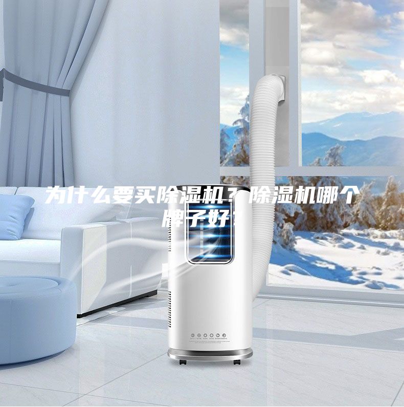 為什么要買除濕機(jī)？除濕機(jī)哪個(gè)牌子好？
