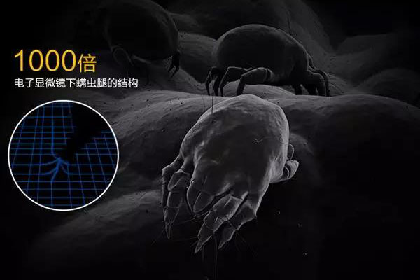 螨蟲高發(fā)季，家用除濕機除螨有妙計！