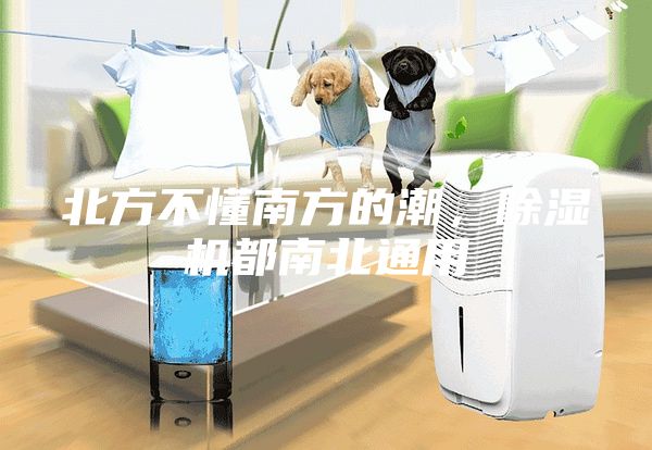 北方不懂南方的潮，除濕機(jī)都南北通用