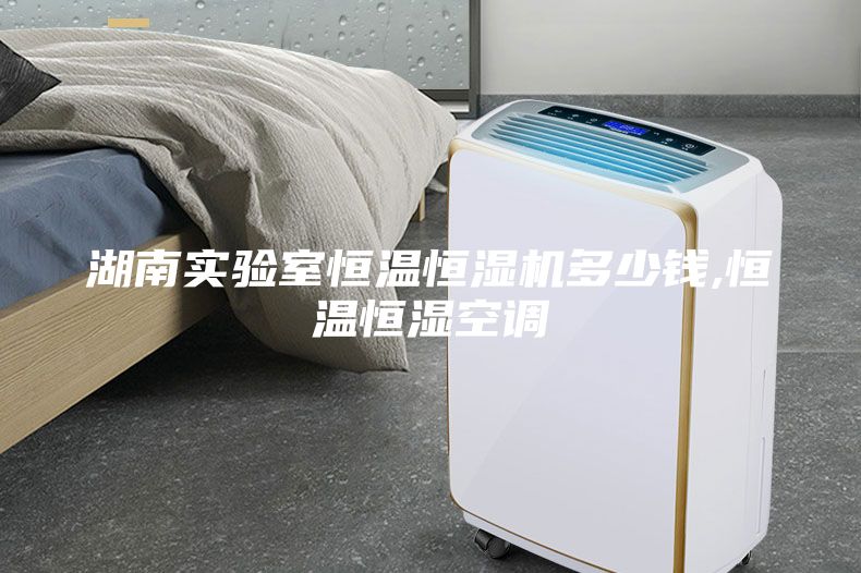 湖南實(shí)驗(yàn)室恒溫恒濕機(jī)多少錢,恒溫恒濕空調(diào)
