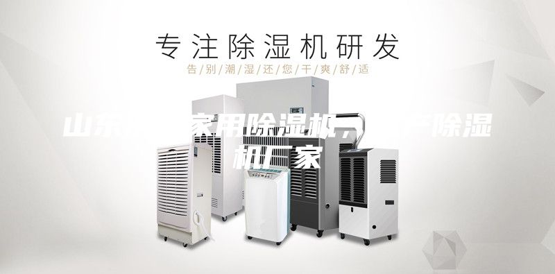 山東濟(jì)南家用除濕機(jī)，生產(chǎn)除濕機(jī)廠家