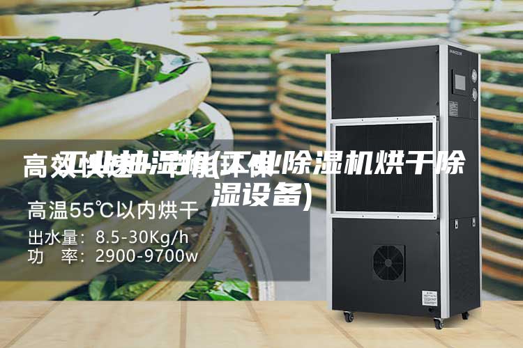 工業(yè)抽濕機(jī)(工業(yè)除濕機(jī)烘干除濕設(shè)備)