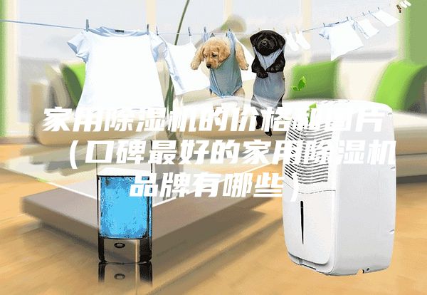 家用除濕機(jī)的價(jià)格和圖片（口碑最好的家用除濕機(jī)品牌有哪些）