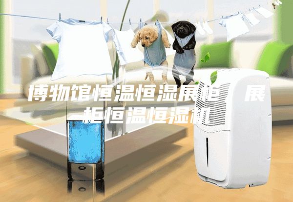 博物館恒溫恒濕展柜,展柜恒溫恒濕機