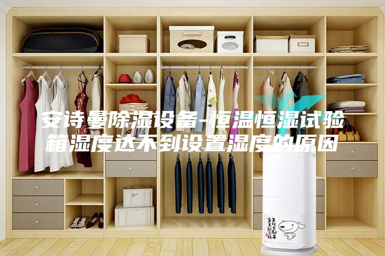安詩曼除濕設(shè)備-恒溫恒濕試驗(yàn)箱濕度達(dá)不到設(shè)置濕度的原因