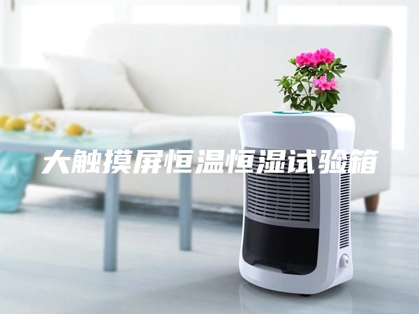 大觸摸屏恒溫恒濕試驗(yàn)箱