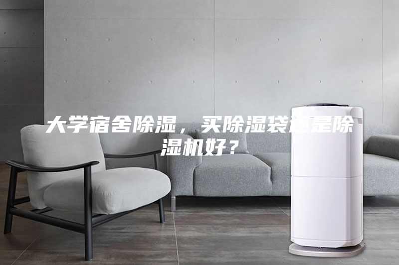 大學(xué)宿舍除濕，買(mǎi)除濕袋還是除濕機(jī)好？