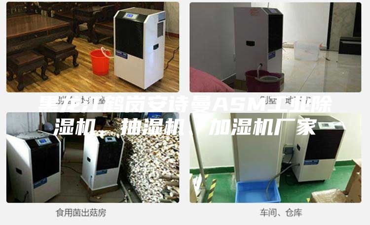黑龍江鶴崗安詩曼ASM工業(yè)除濕機(jī)，抽濕機(jī)、加濕機(jī)廠家