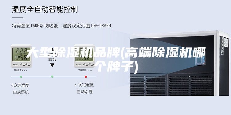 大型除濕機(jī)品牌(高端除濕機(jī)哪個牌子)