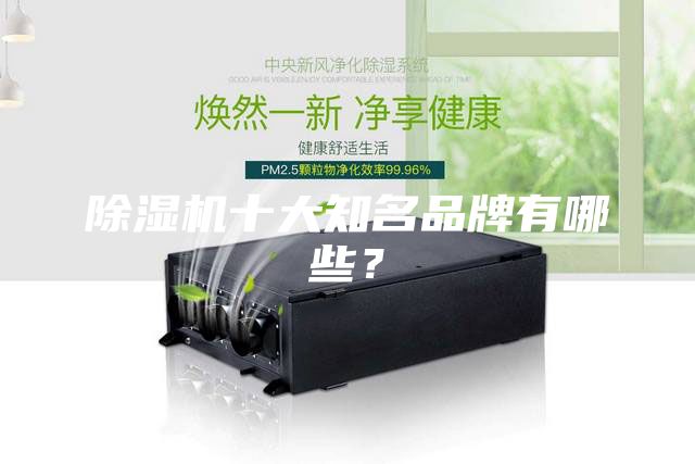 除濕機(jī)十大知名品牌有哪些?