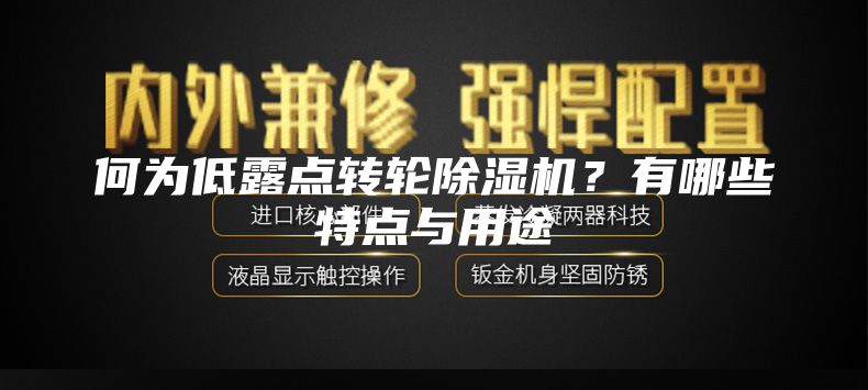 何為低露點轉(zhuǎn)輪除濕機(jī)？有哪些特點與用途