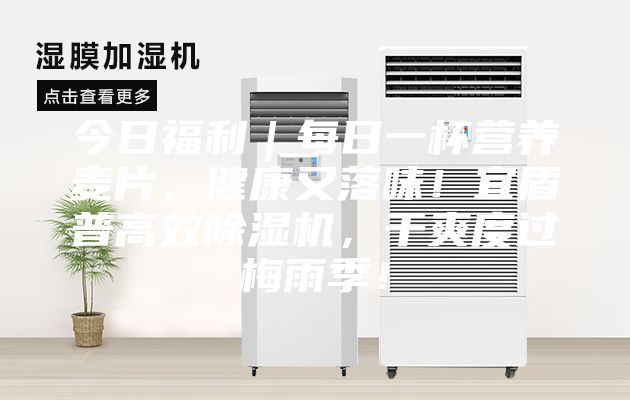 今日福利｜每日一杯營(yíng)養(yǎng)麥片，健康又落味！宜盾普高效除濕機(jī)，干爽度過梅雨季！