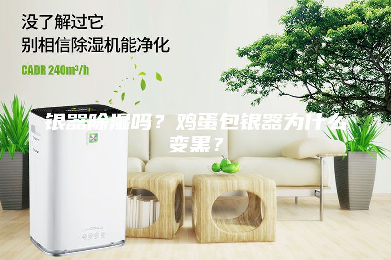 銀器除濕嗎？雞蛋包銀器為什么變黑？