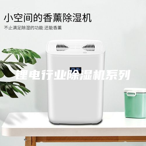 鋰電行業(yè)除濕機(jī)系列