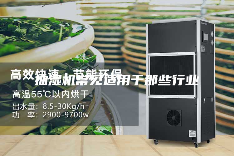 抽濕機(jī)常見適用于那些行業(yè)