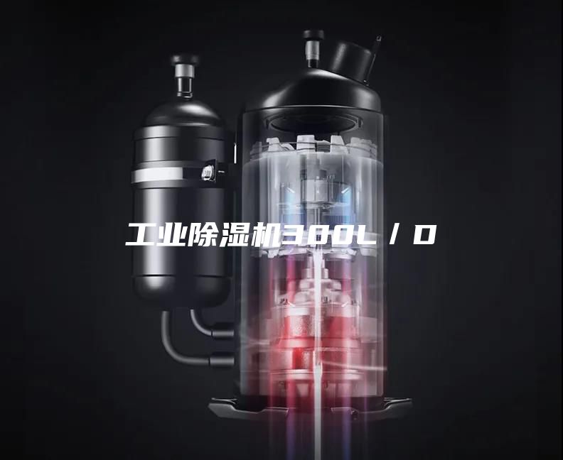 工業(yè)除濕機(jī)300L／D