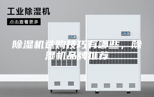除濕機(jī)選購(gòu)技巧有哪些，除濕機(jī)品牌推薦