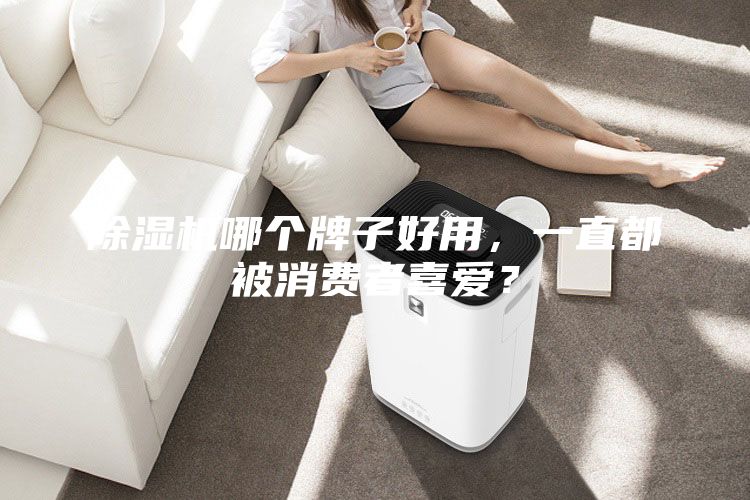 除濕機哪個牌子好用，一直都被消費者喜愛？