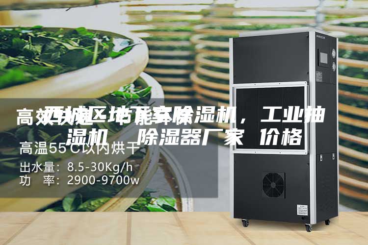 西城區(qū)地下室除濕機，工業(yè)抽濕機  除濕器廠家 價格