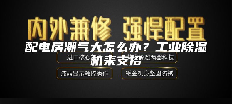 配電房潮氣大怎么辦？工業(yè)除濕機(jī)來支招