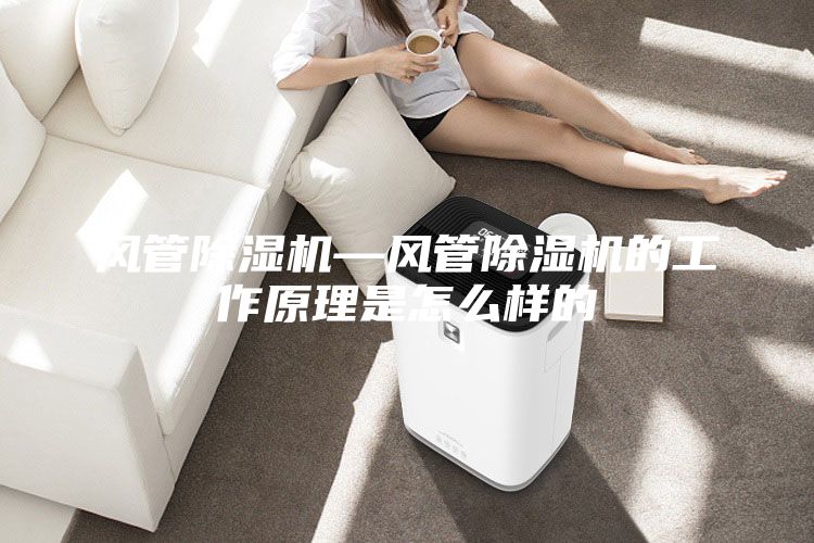 風(fēng)管除濕機—風(fēng)管除濕機的工作原理是怎么樣的