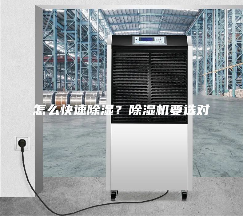 怎么快速除濕？除濕機要選對