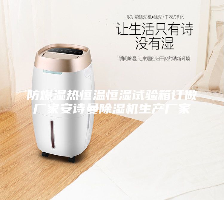 防爆濕熱恒溫恒濕試驗箱訂做廠家安詩曼除濕機生產(chǎn)廠家